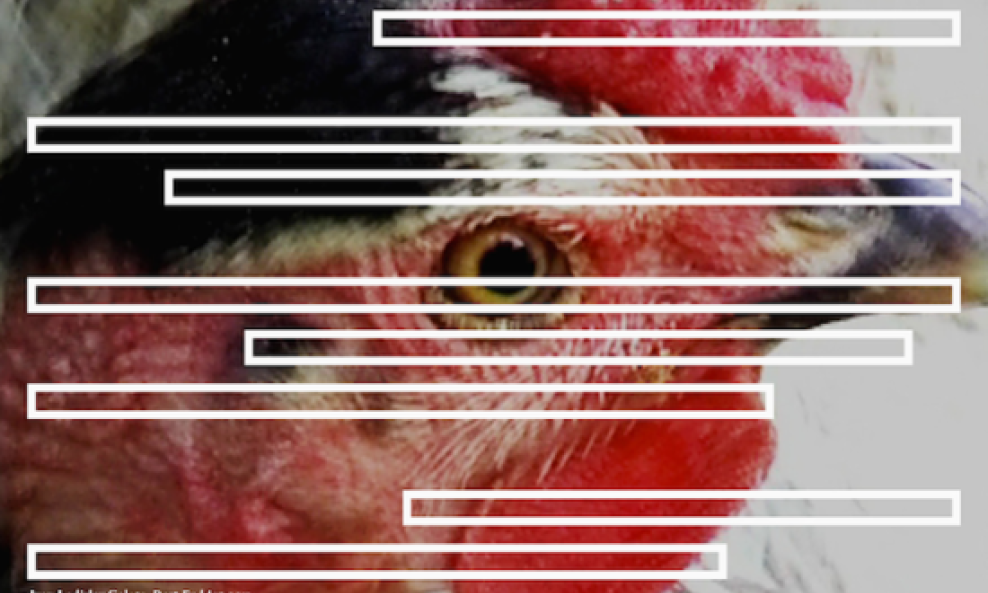 Deep End Art, 2013.
