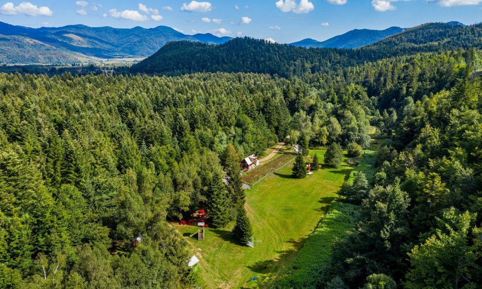 Šumska bajka Lič