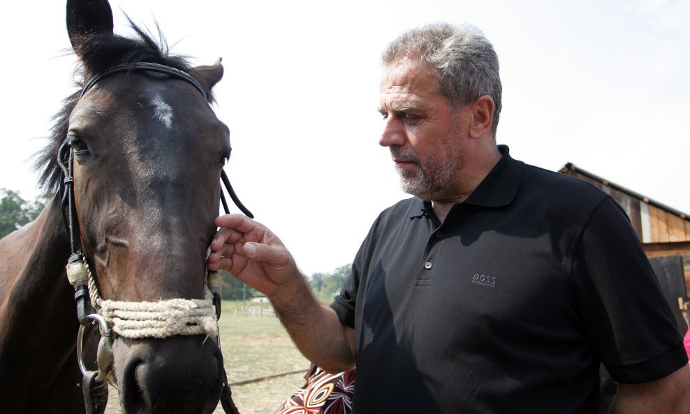 Milan Bandić konj