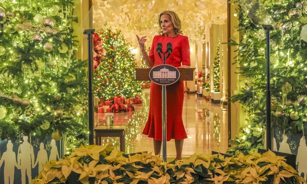 Ilustracija / Dr. Jill Biden