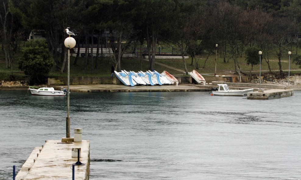 ubojstvo plava laguna vinko mretić