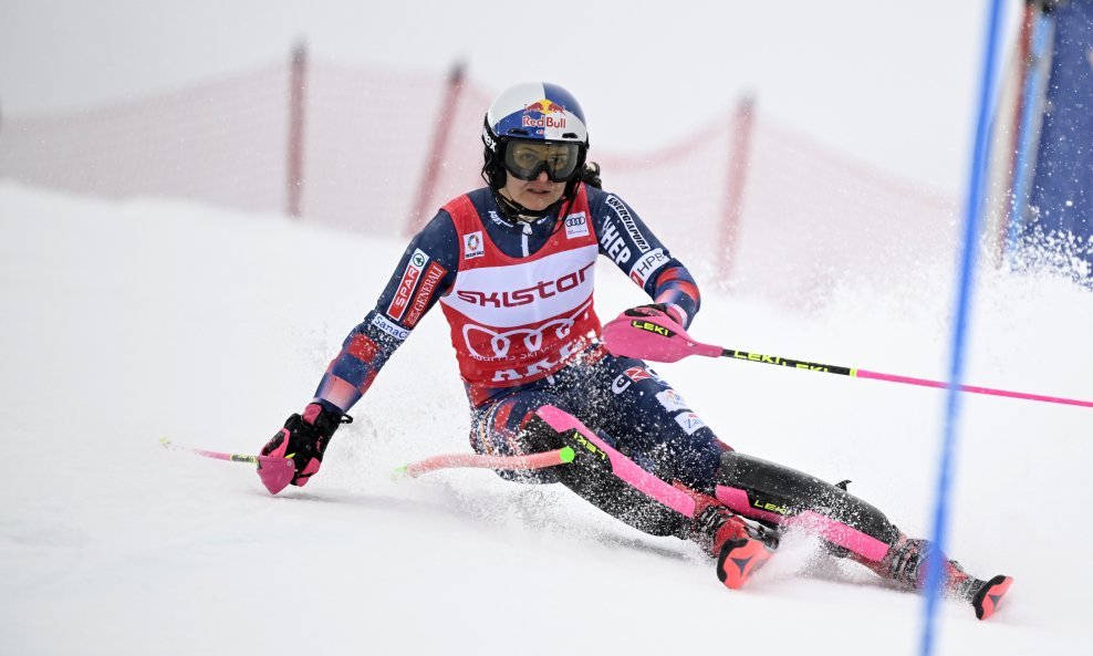 Zrinka Ljutić