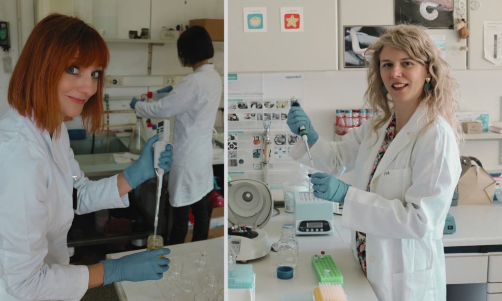 dr. sc. Katja Magdić Košiček i dr. sc. Eva Šatović Vukšić