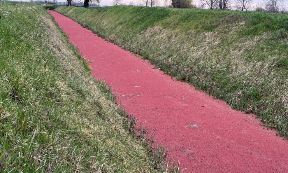 Voda u kanalu obojana u crveno