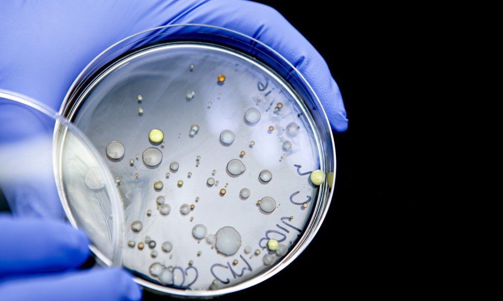Nova klasa antibiotika mogla bi suzbiti bakterije otporne na lijekove