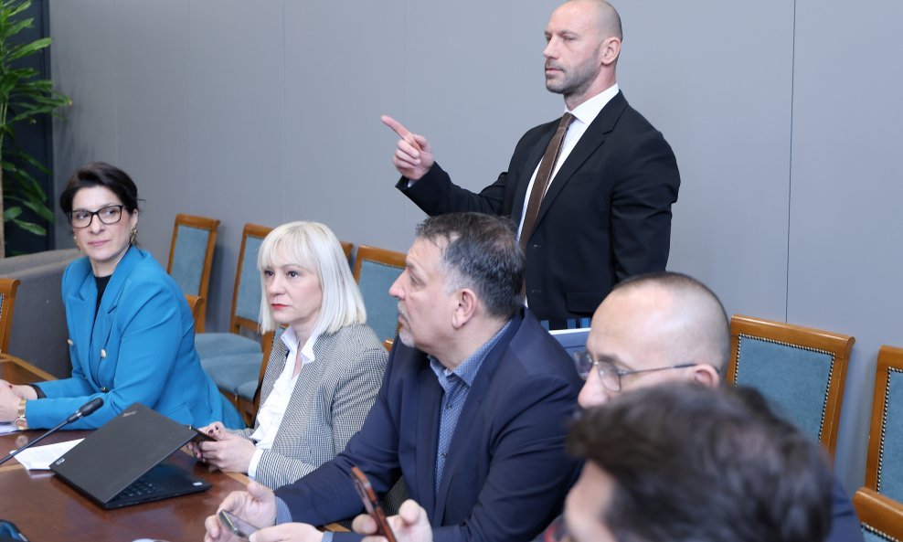 Damir Habijan, saborski Odbor za pravosuđe