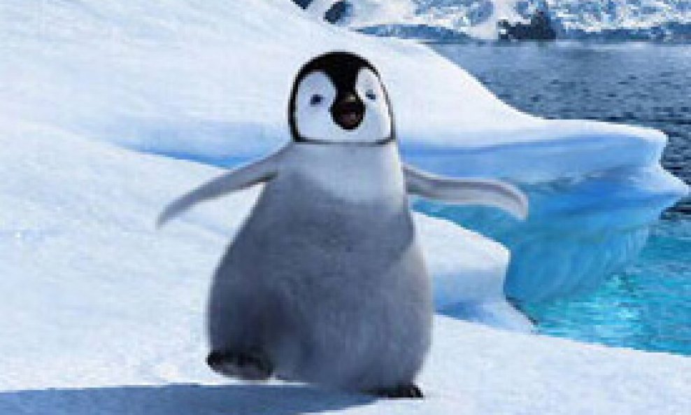 Balada o pingvinu1