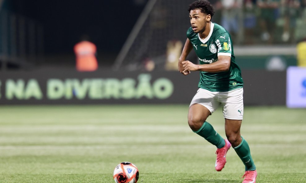 Luighi Palmeiras
