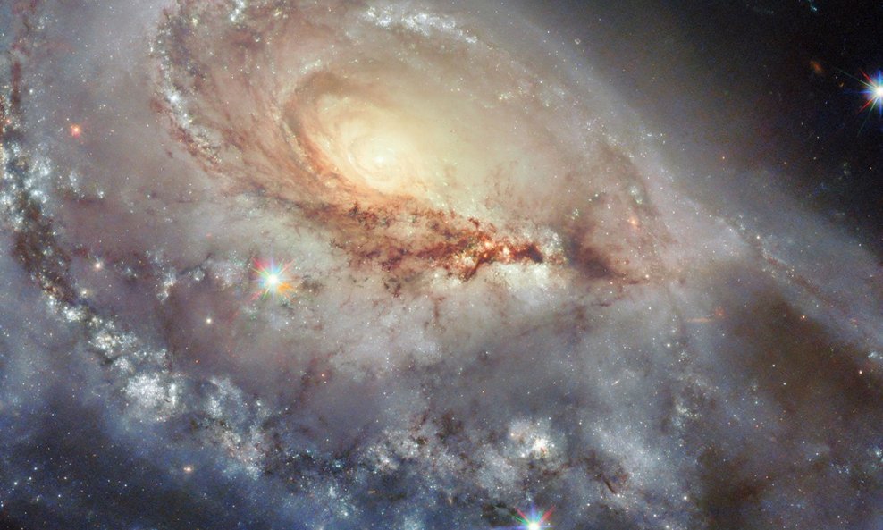 Arp 184/NGC 1961