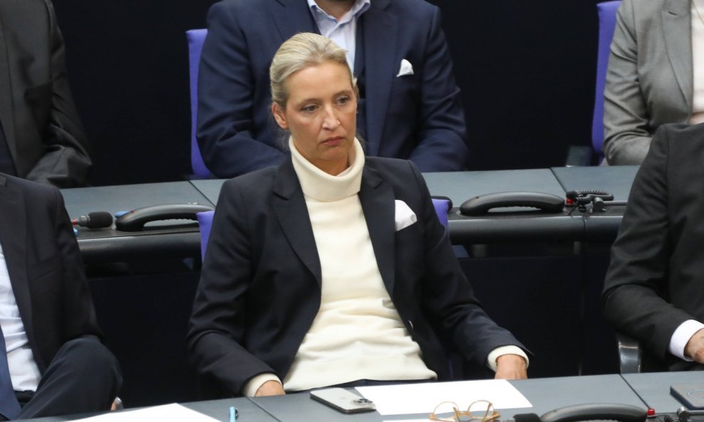 Alice Weidel (AfD)