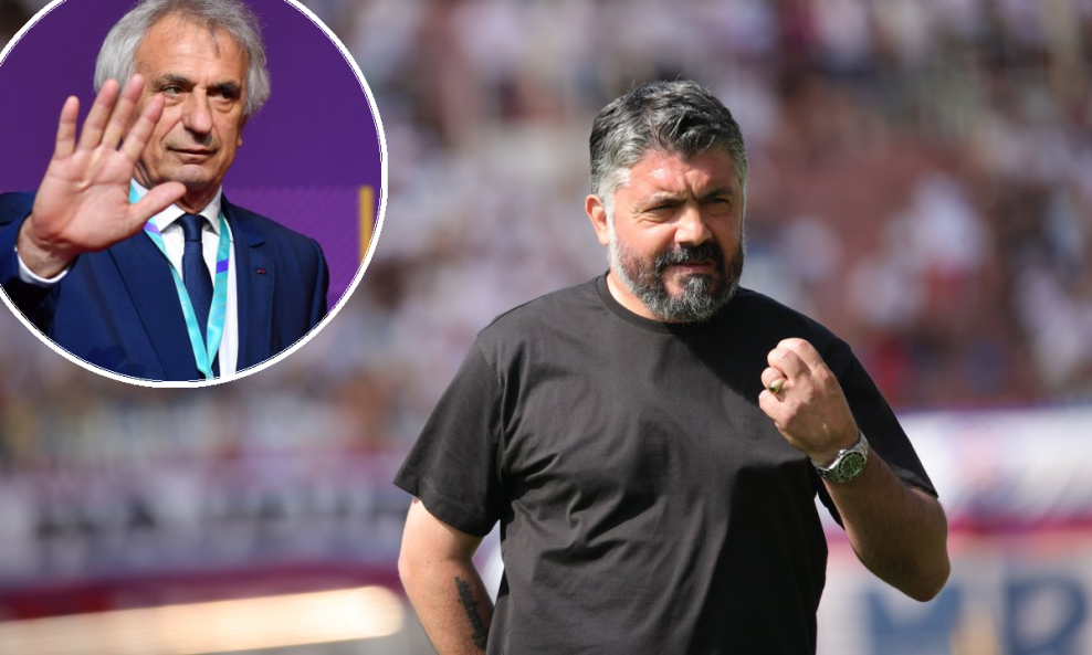 Gennaro Gattuso / Vahid Halilhodžić (u krugu)