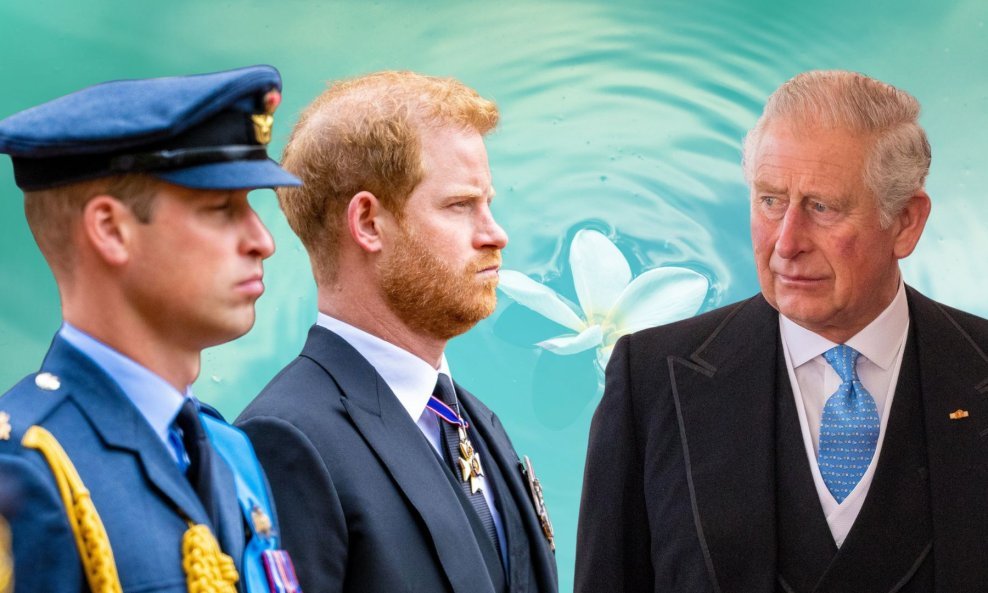 Princ William i princ Harry, kralj Charles III