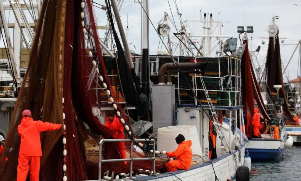 Ponovno je omogućeno korištenje okružujućih mreža plivarica prilikom ribarenja u Jadranu