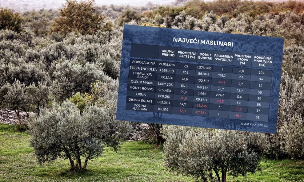 Poslovanje maslinara