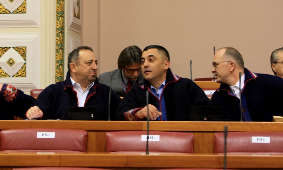Zoran Vinković u Saboru