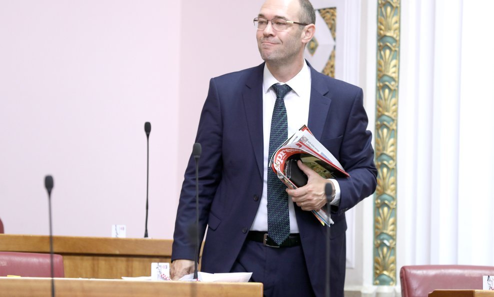 Davor Ivo Steir
