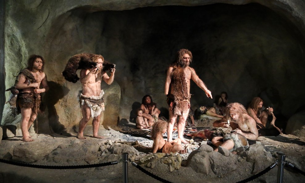 Muzej krapinskih neandertalaca