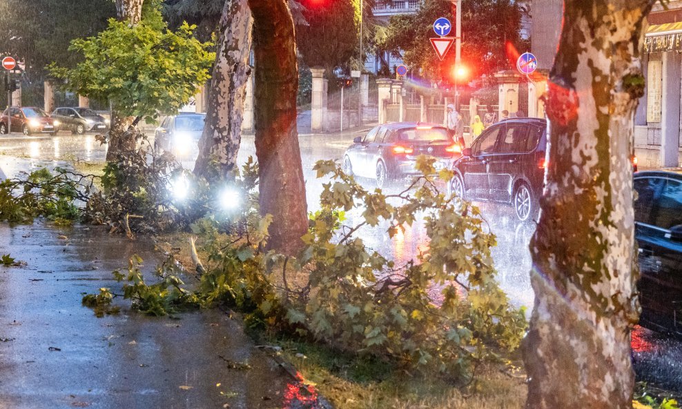 Srušeno drveće u Puli