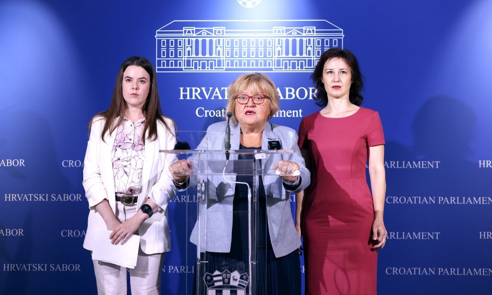 Mrak Taritaš, Cesar i Orešković o prijedlogu izmjena izbornih zakona