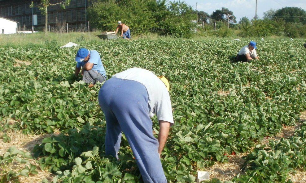 Ilustracija