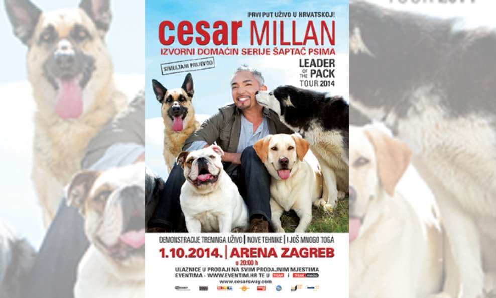 Cesar Millan