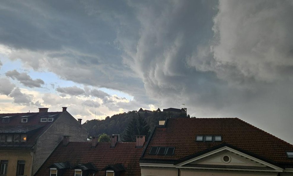 tportal