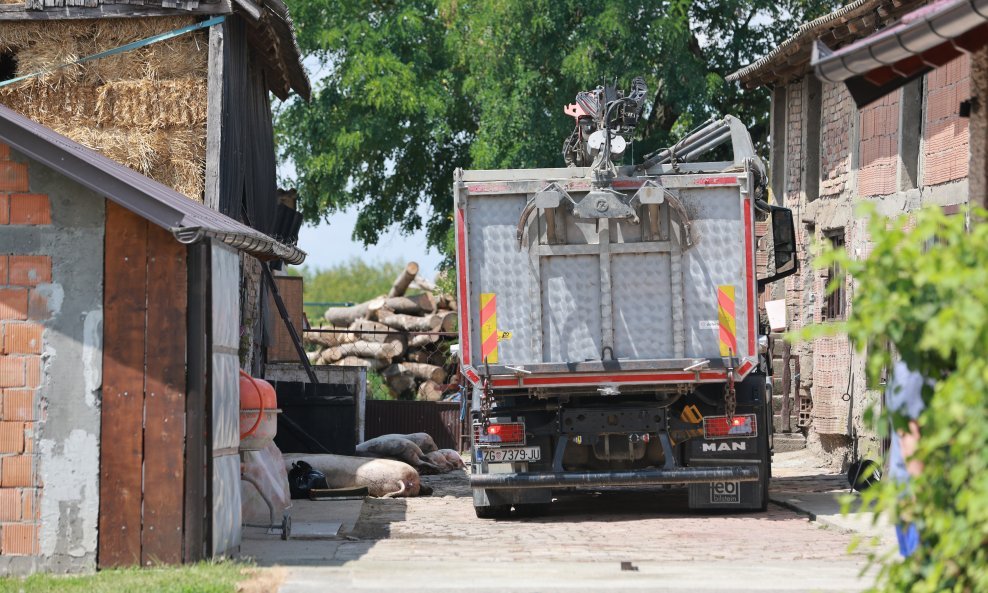 Afrička svinjska kuga na području općine Jagodnjak