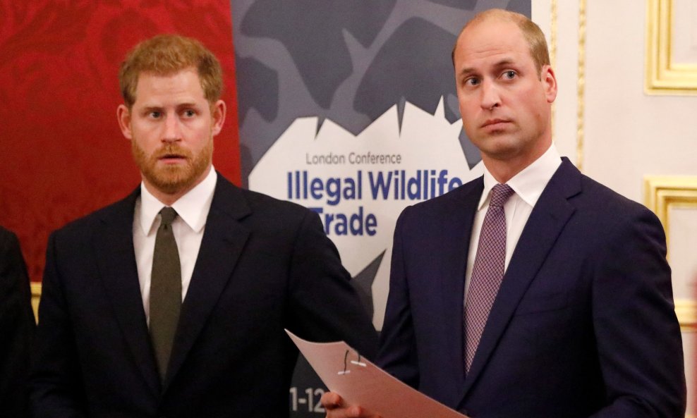 Princ Harry i princ William