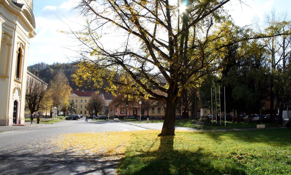 pozega