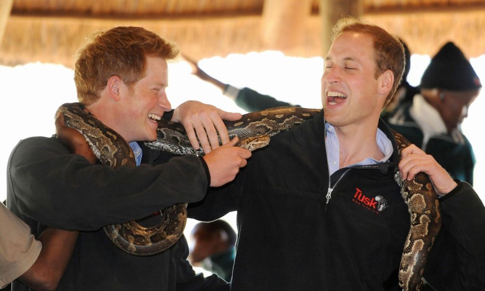Princ Harry i princ William