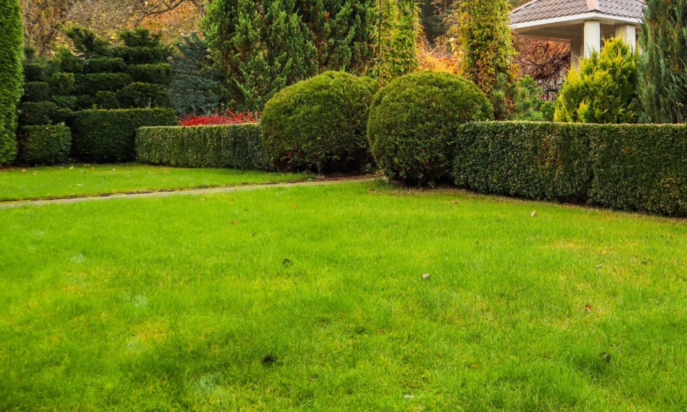 Travnjak je moguće obnoviti i nakon dugačkih perioda vrućina