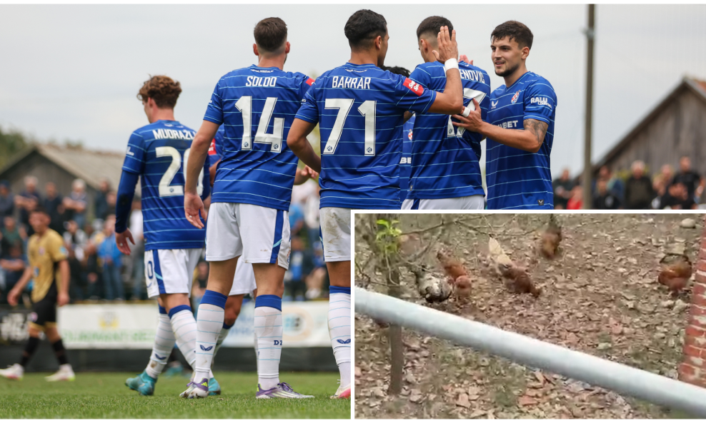 NK Dinamo