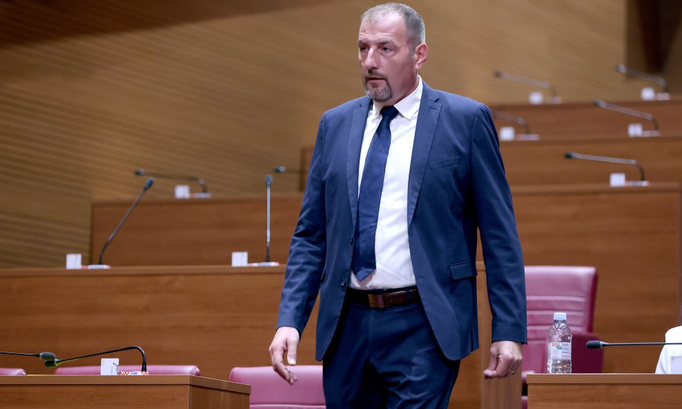 Dalibor Paus, IDS