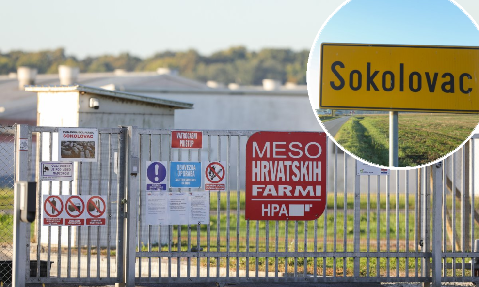 Farma svinja Sokolovac