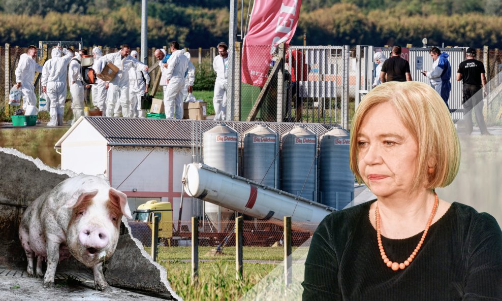 Zvjezdana Blažić smatra kako će najveće posljedice izbijanaj zaraze trpjeti proizvođači i lokalne zajednice