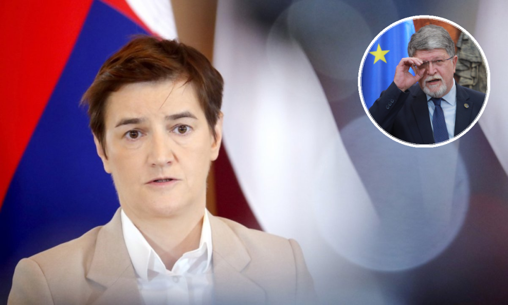 Brnabić komentirala Piculu