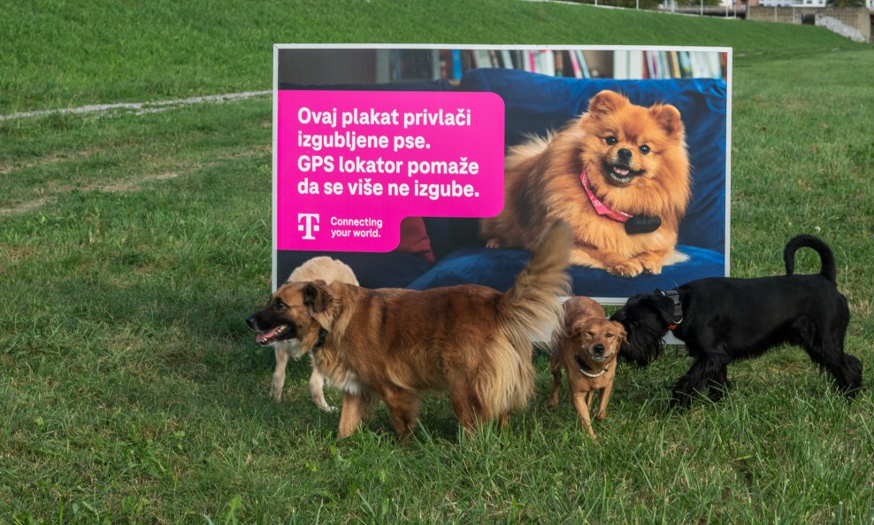 Plakat je smješten na Savici