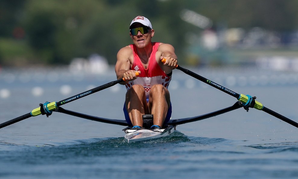 David Šain
