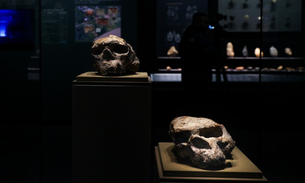 Lubanje Homo erectusa koje datiraju otprije milijun godina u Muzeju pokrajine Hubei u Wuhanu