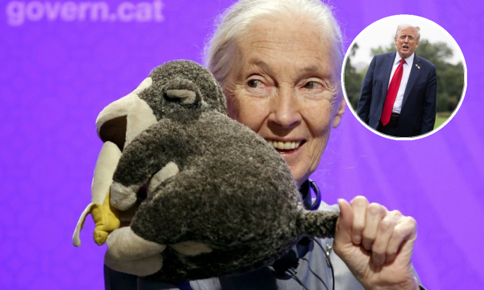 Jane Goodall, Donald Trump