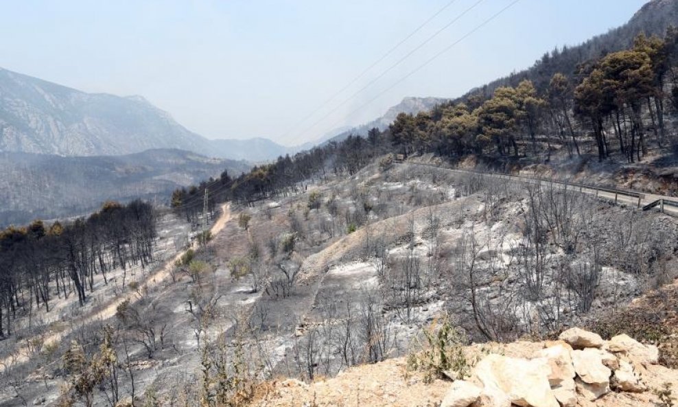 Zgarište na Pelješcu gdje je požar uništio velike površine poluotoka (2)