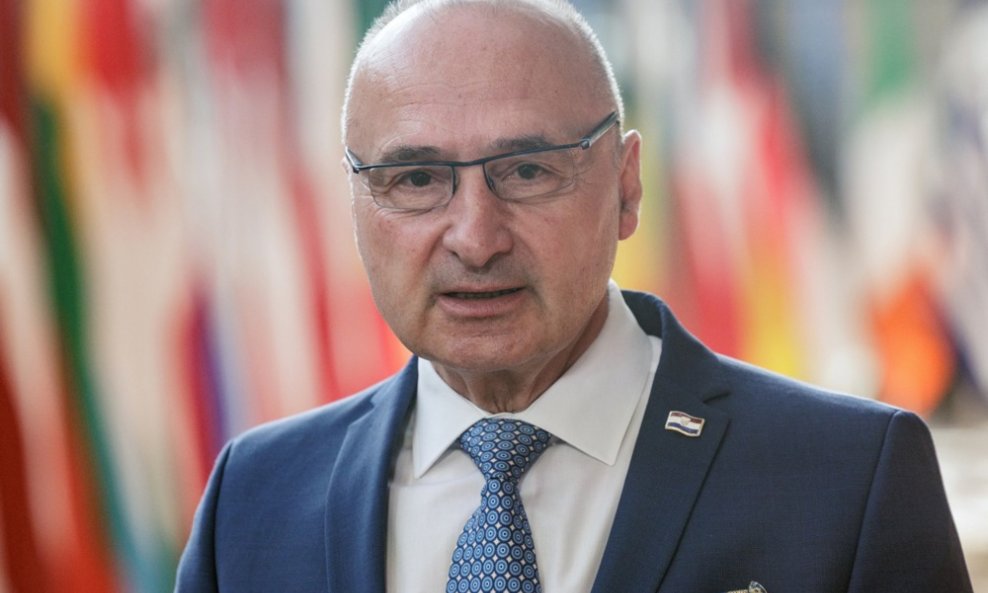 Gordan Grlić Radman