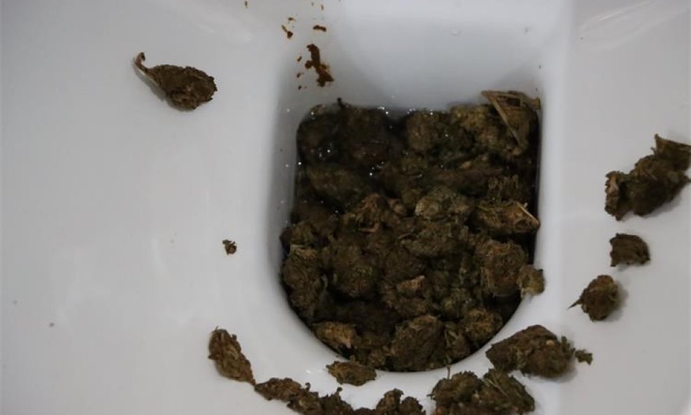 Marihuana u wc školjci