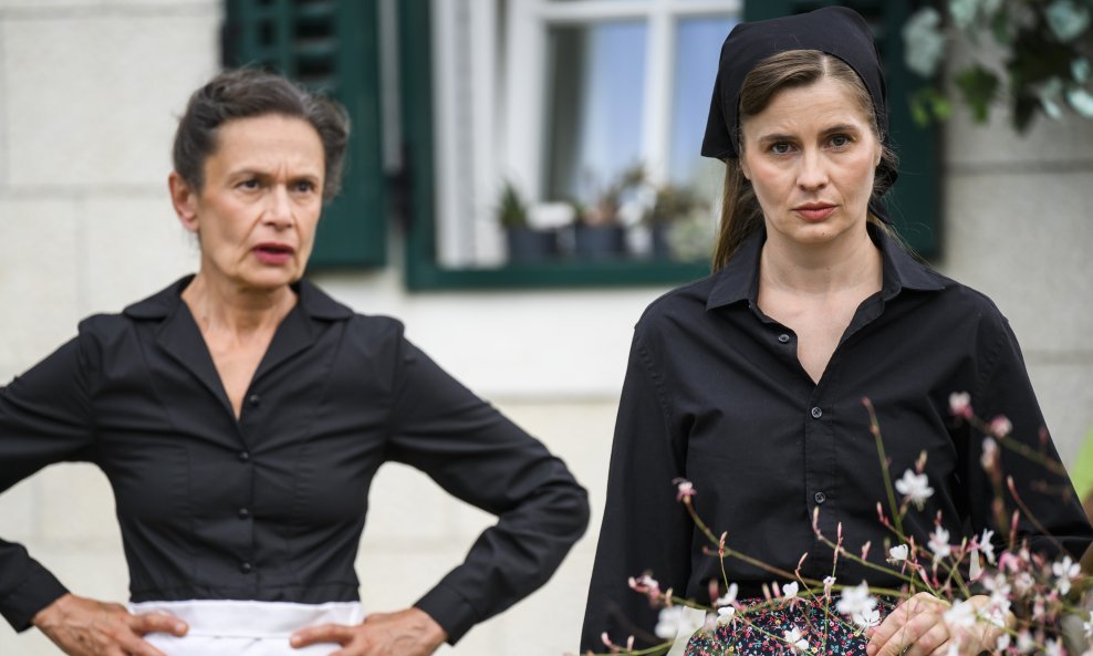 Serija 'Divlje pčele'