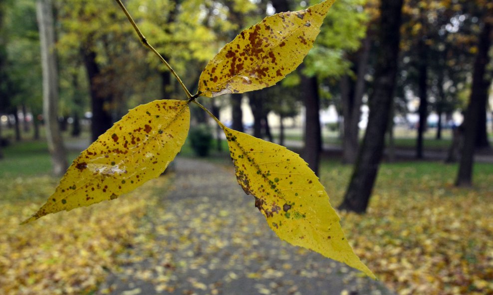 Ilustrativna fotografija