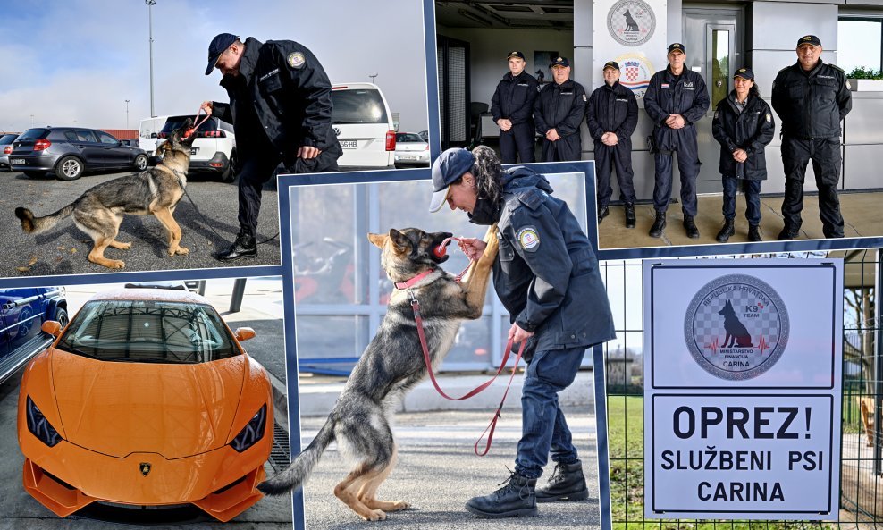 Obuka pasa za rad u carinskoj službi