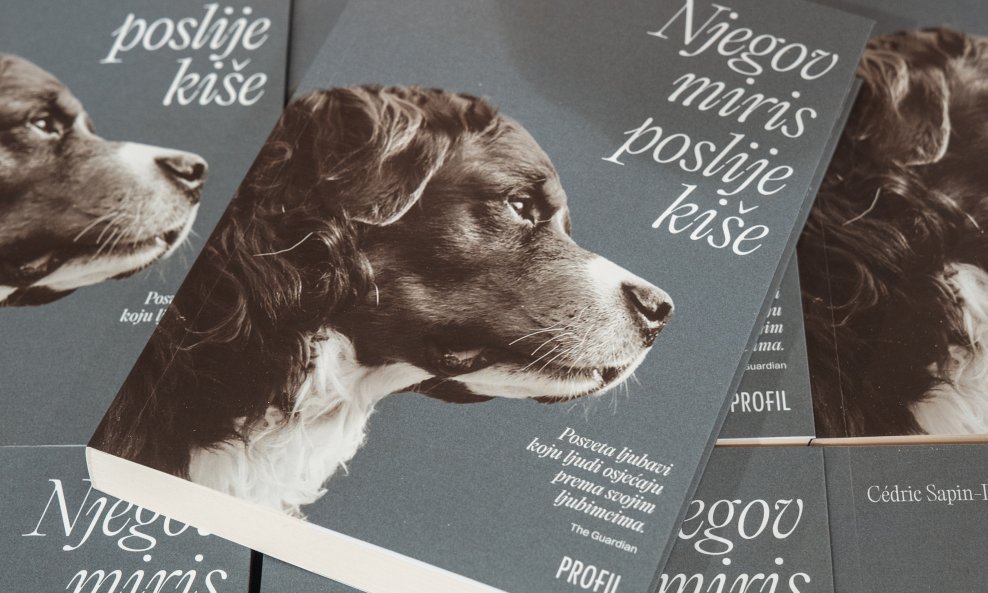 Knjiga 'Njegov miris poslije kiše'