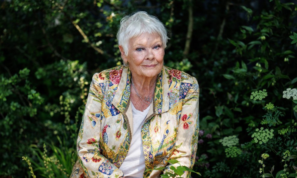 Judi Dench