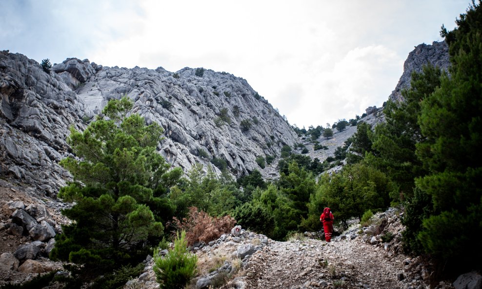 Ilustrativna fotografija