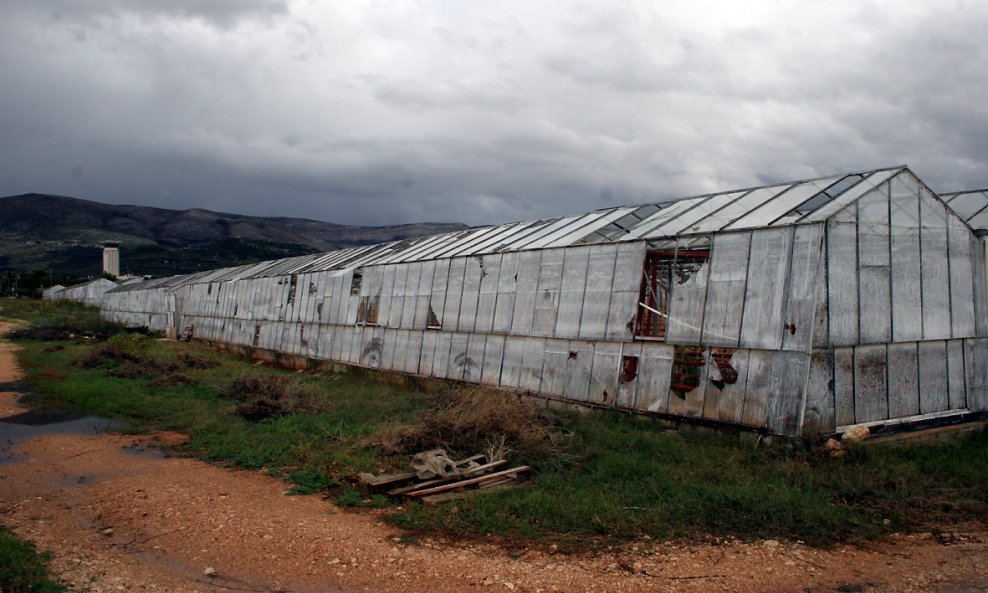 Kaštelanski staklenici 1